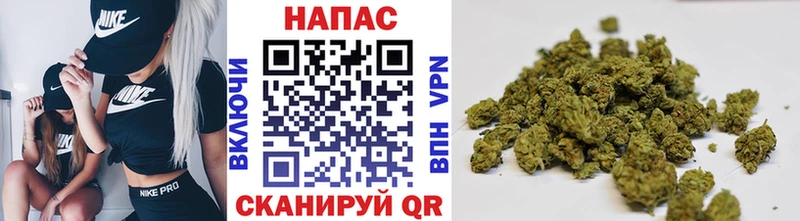 mega онион  Новопавловск  Бошки Шишки THC 21% 